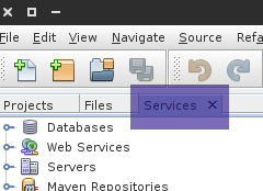 Figure 1 - Servers tab