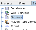 Figure 2 - Servers tab